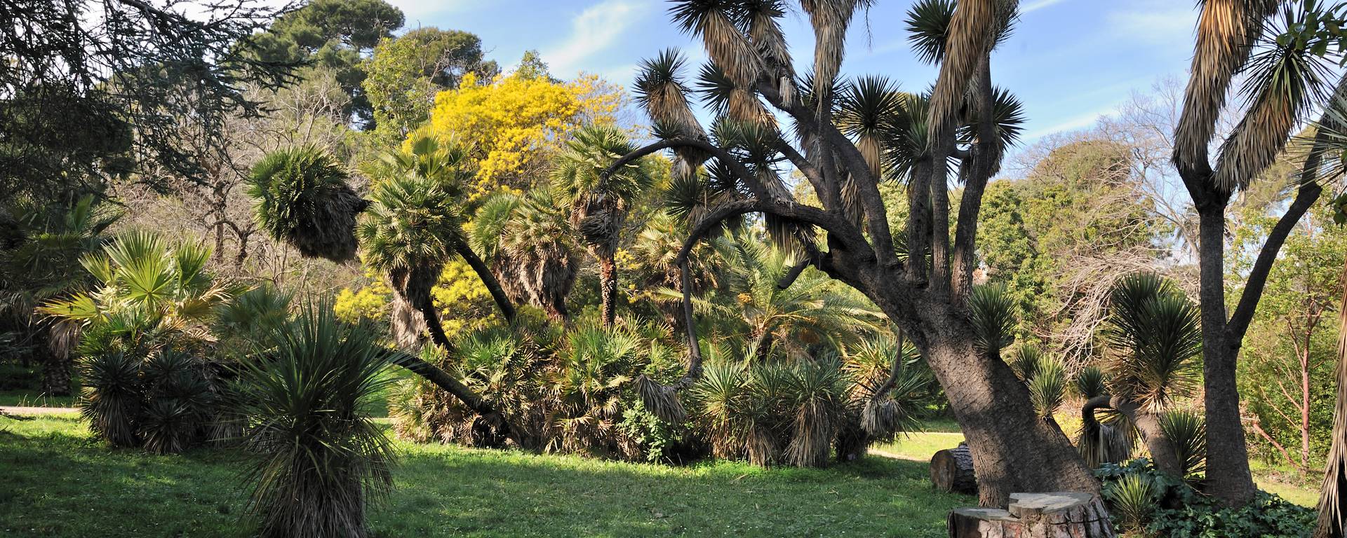 Giardino botanico villa Thuret ©Mairie d'Antibes