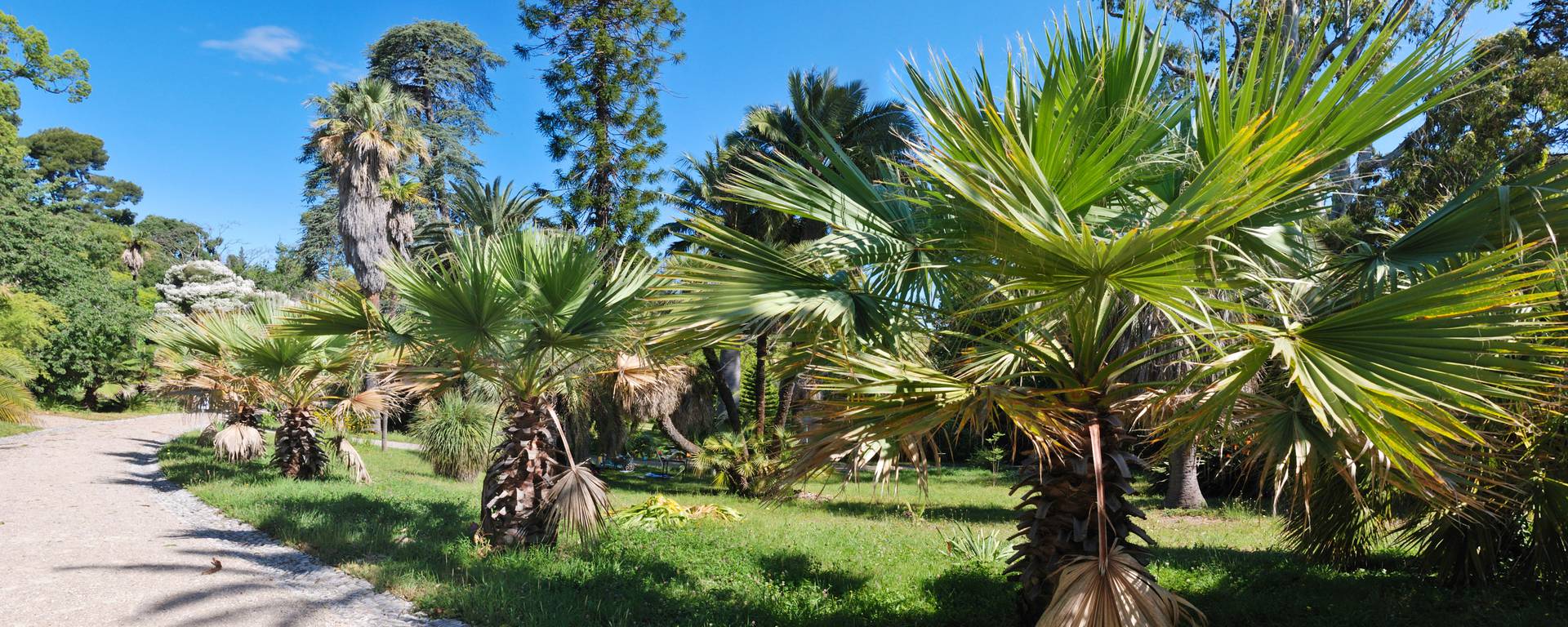 Thuret Botanical Gardens ©Mairie d'Antibes