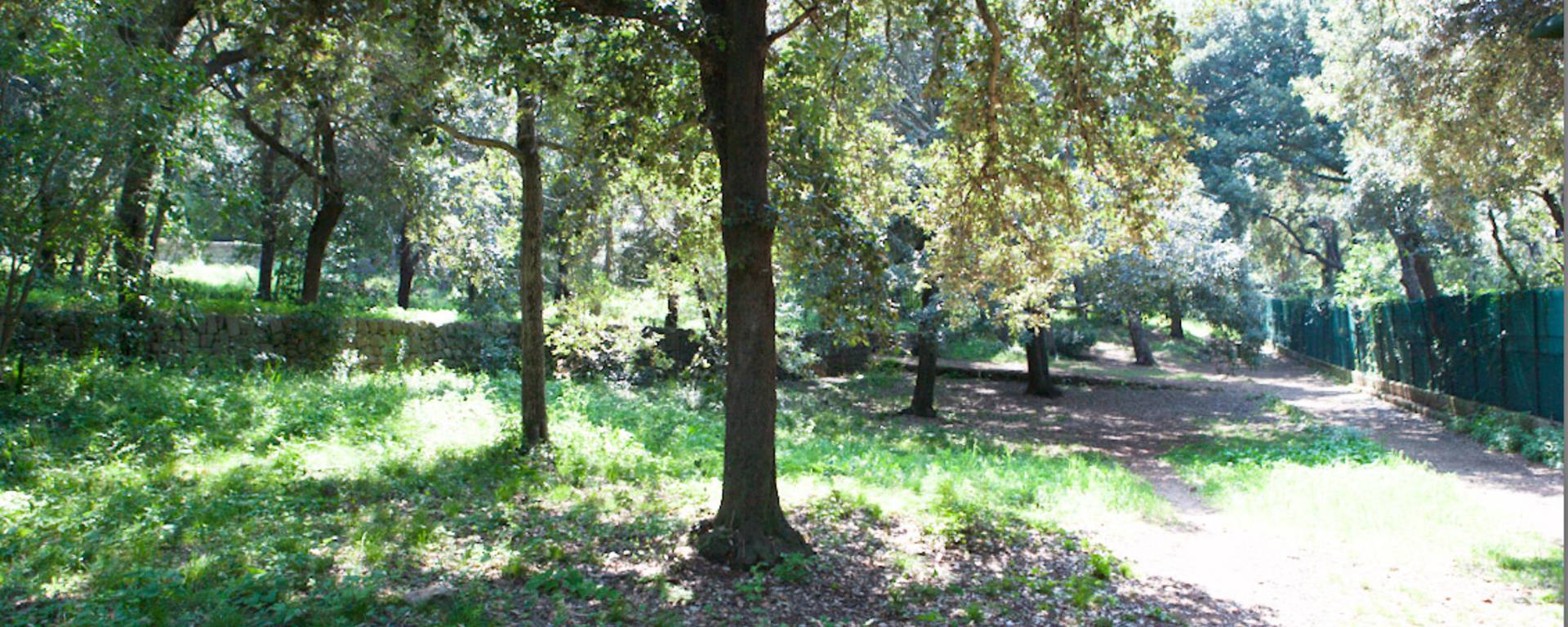 Le Bois de la Garoupe ©Mairie d'Antibes - J. Brosset