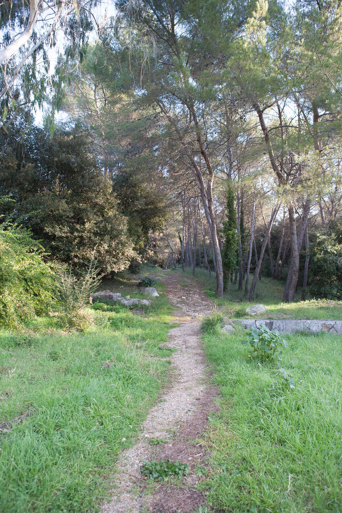 the garoupe plateau office of tourism official website