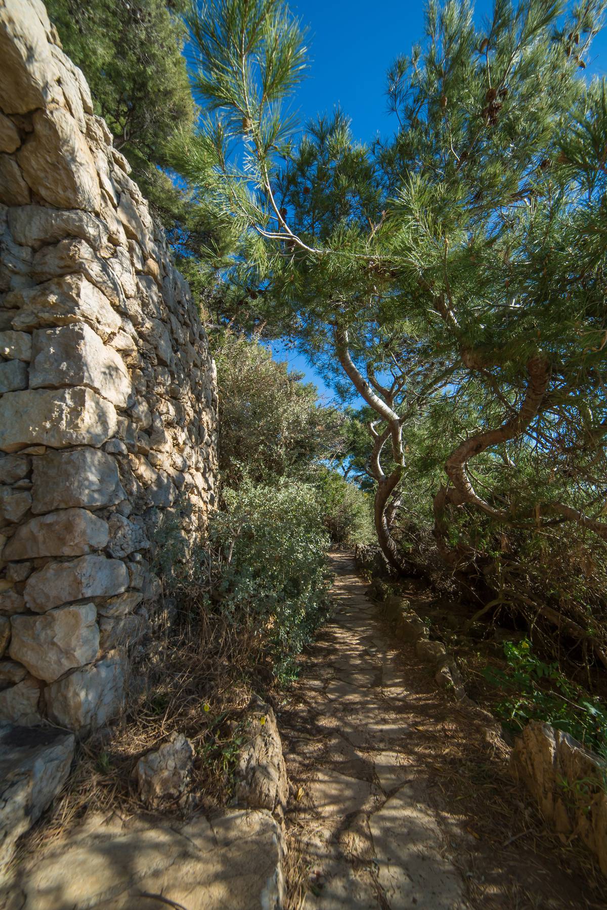 Balade chemin cotier Juan les pins