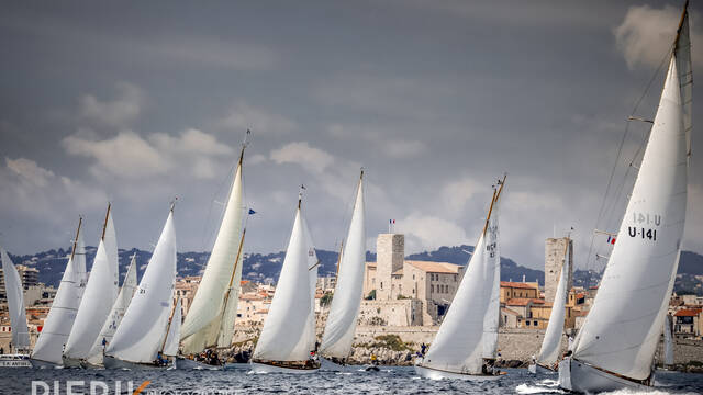 Les Voiles d'Antibes - Pierik Photographe