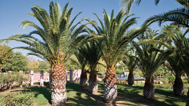 Parc Exflora - Juan © F. Trotobas (Mairie d'Antibes JLP - service presse communication)