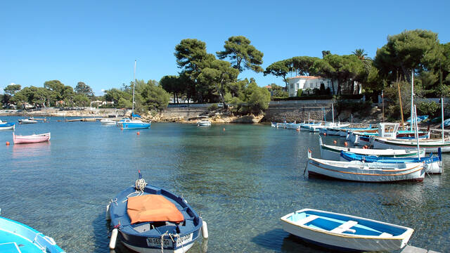 Le barche da pesca ©D. Vincendeau