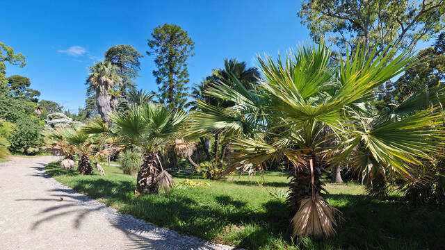 Le Parc Thuret au Cap d'Antibes