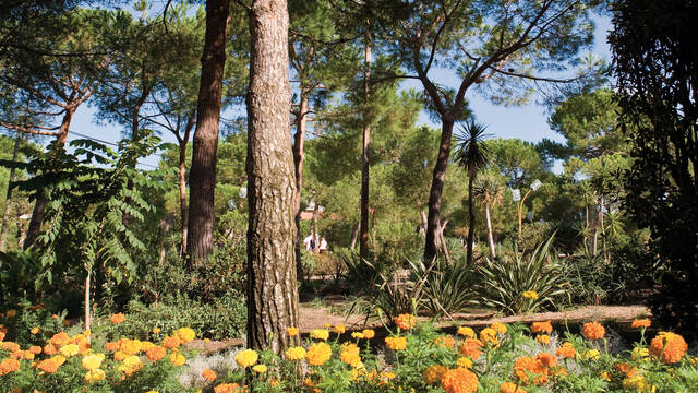 La Pineta di Juan-les-Pins ©F. Trotobas