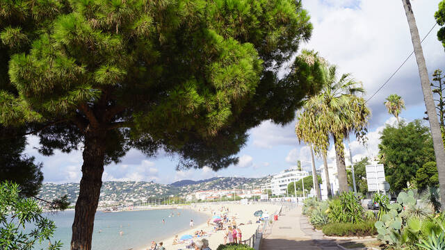 Camping Antipolis Antibes Juan Les Pins Mobil Homes Disponibles