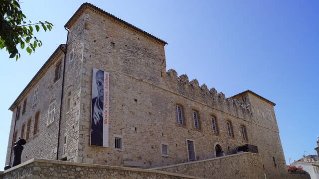 musée picasso