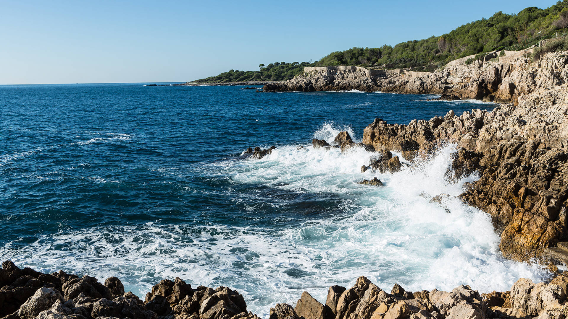 Wave ©Mairie d'Antibes - J. Bayle