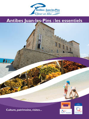Couverture_les essentiels en français