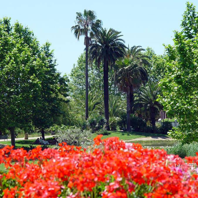 Parco Exflora, cespuglio di fiori ©F. Trotobas