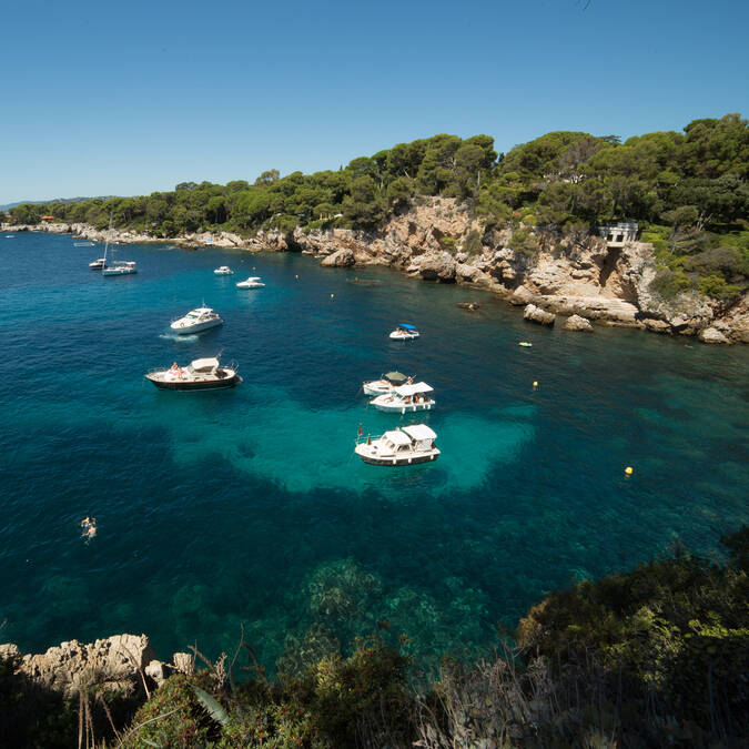 Billionaire's bay